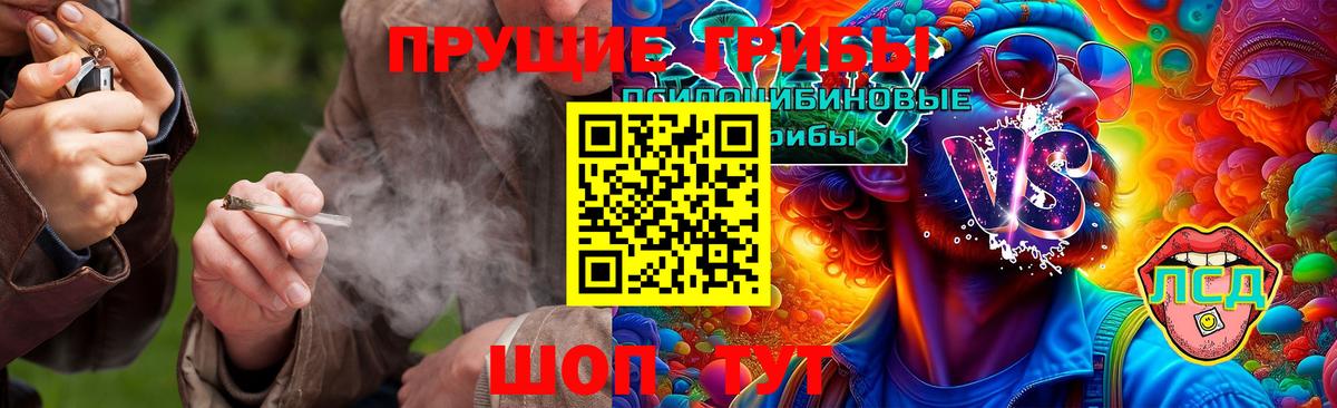 Южно-Сахалинск  Псилоцибиновые грибы Magic Shrooms  Вход с VPN 